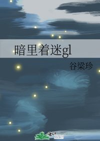 《暗里着迷gl》