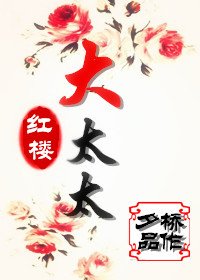《红楼大太太》