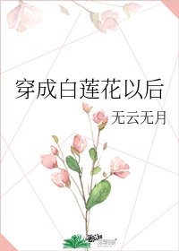 《穿成白莲花以后》