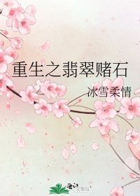 《重生之翡翠赌石》