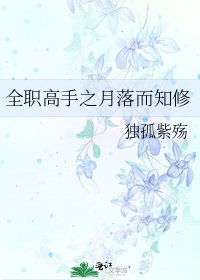 《全职高手之月落而知修》