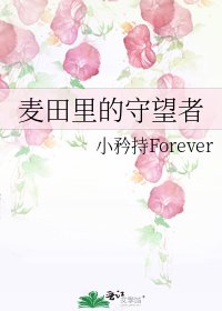 《麦田里的守望者》
