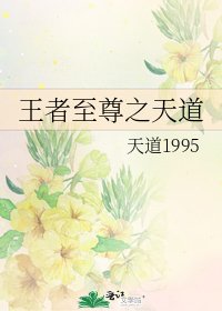 《王者至尊之天道》