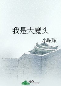 《我是大魔头》