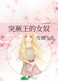 《突厥王的女奴》