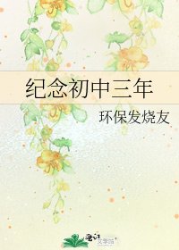 纪念初中三年