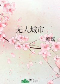 《无人城市》