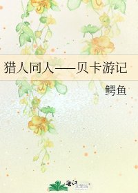 《猎人同人——贝卡游记》