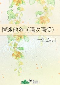 《情迷他乡(强攻强受)》