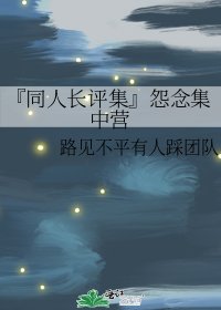 《『同人长评集』怨念集中营》