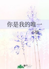 《你是我的唯一》