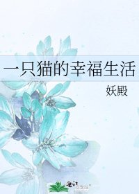 《一只猫的幸福生活》