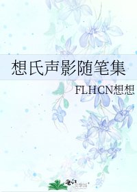 《想氏声影随笔集》