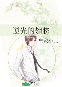《逆光的翅膀》