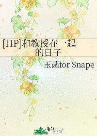 [HP]和教授在一起的日子