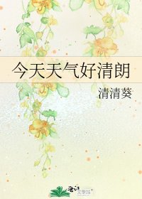 《今天天气好清朗》