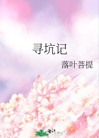 《寻坑记》