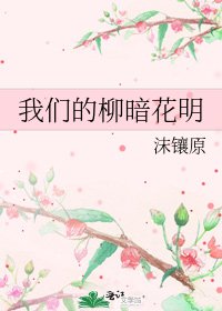 我们的柳暗花明