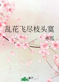 《乱花飞尽枝头寞》