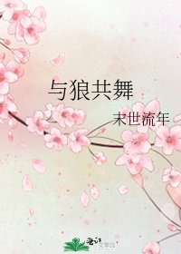 《与狼共舞》