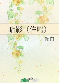 《暗影(佐鸣)》