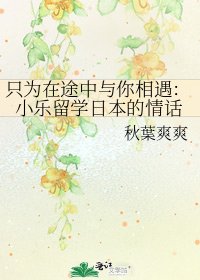 《只为在途中与你相遇:小乐留学日本的情话》