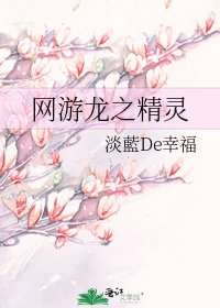 《网游龙之精灵》