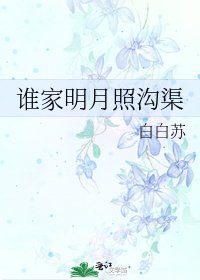 《谁家明月照沟渠》