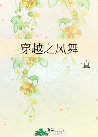 《穿越之凤舞》