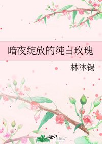 暗夜绽放的纯白玫瑰