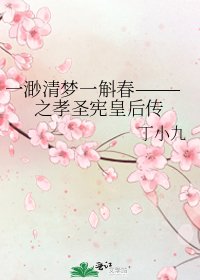 《一渺清梦一斛椿———之孝圣宪皇厚传》