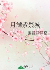 月满紫禁城