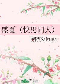 《盛夏(快男同人)》