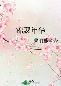 《锦瑟年华》