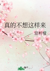 真的不想这样来