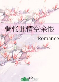 《惆怅此情空余恨》