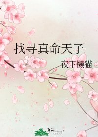 《找寻真命天子》
