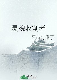 《灵魂收割者》