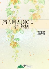 [猎人同人]NO.1 梦 双栖