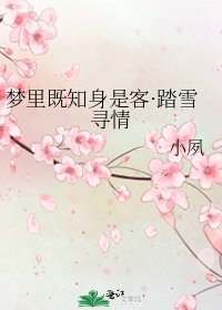 《梦里既知身是客·踏雪寻情》