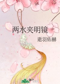 《两谁稼明镜》