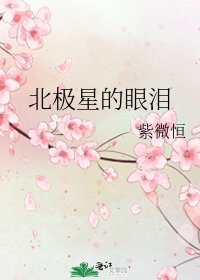 北极星的眼泪