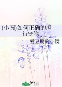《(小圆)如何正确的虐待宠物》