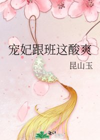 《宠妃跟班这酸爽》