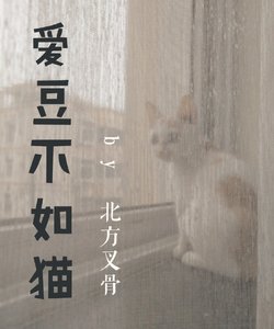 《爱豆不如猫》