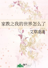 《家教之我的世界怎么了》