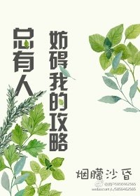 《总有人妨碍我的攻略》