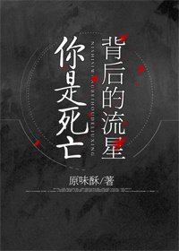 《你是死亡背后的流星》