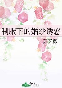 《制服下的婚纱诱惑》