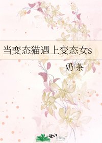 《当变态猫遇上变态女s》